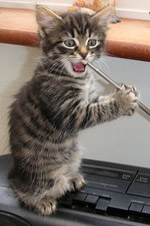 This creature demonstrates its free will by choosing to eat the radio rather than listen to it