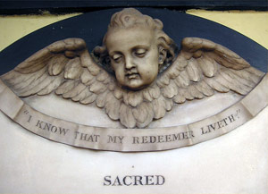 The blessed baby-faced, no-bodied pigeon without legs tells it like it is