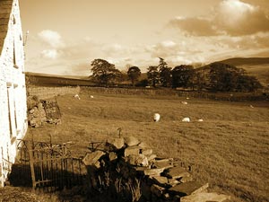 This would be a perfect place for a private prayer with our LORD were it not for all the stupid sheep