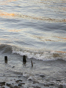 Waters, very much like the kind God would have used to murder a planet full of people